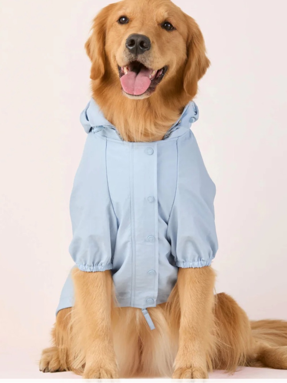 The Foggy Dog - Sky Blue Dog Raincoat XL - Picture 7 of 9